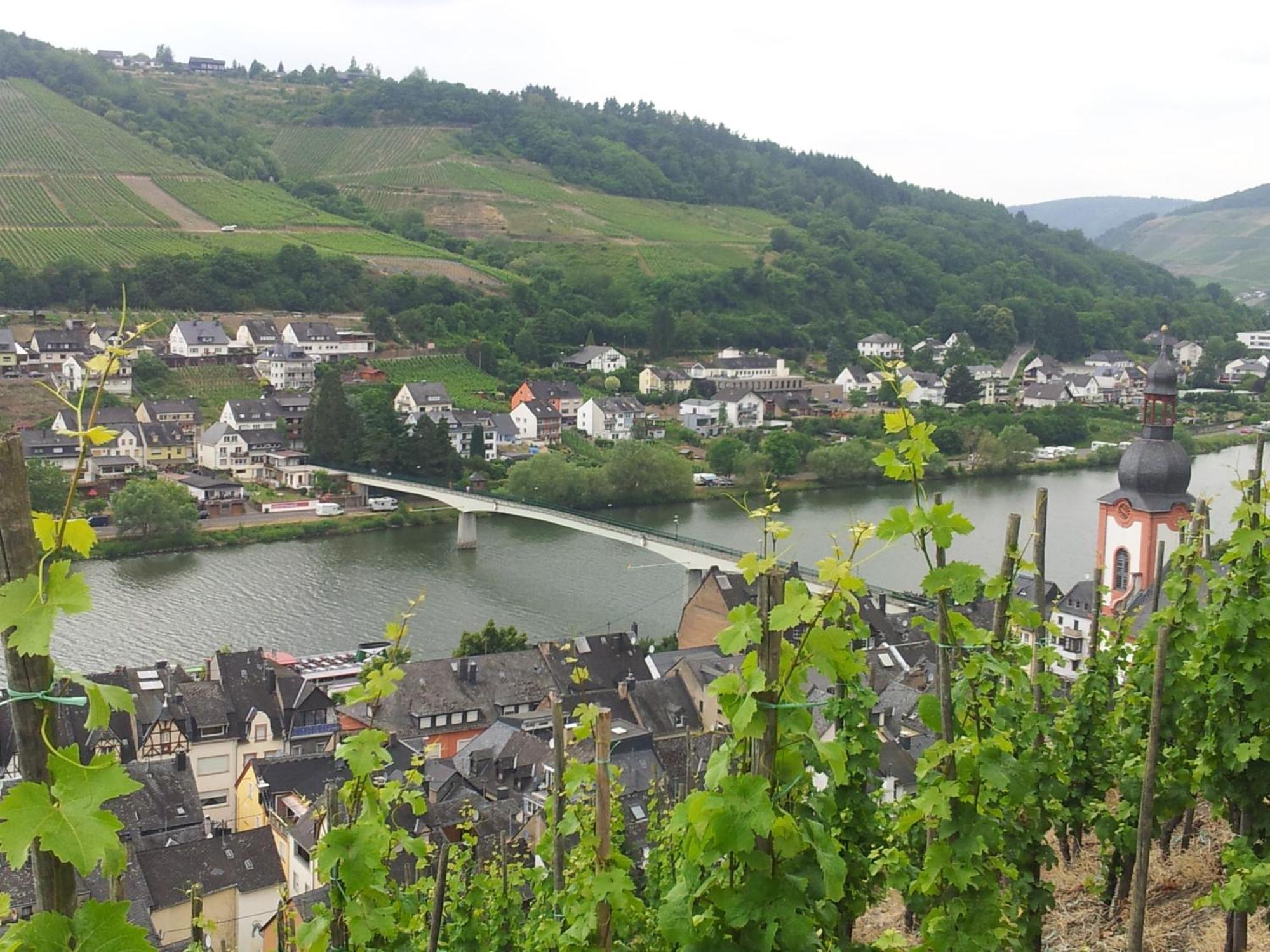 "Ferienhaus An Der Mosel" Zell an der Mosel Exteriér fotografie